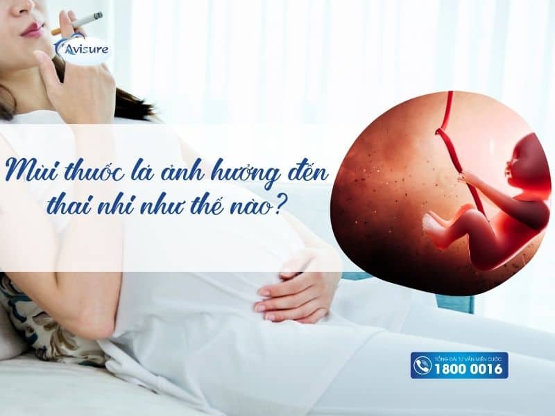 Mùi thuốc lá ảnh hưởng đến thai nhi và mẹ bầu như thế nào?